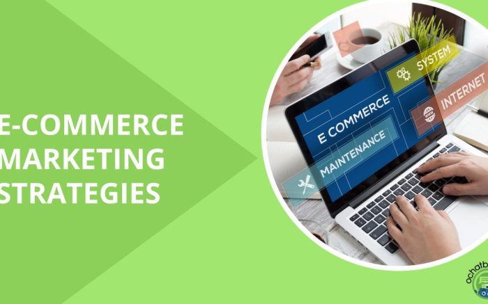 E-commerce internet marketing strategies